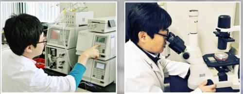 仙竹社AILABELLS品牌的发展进化史