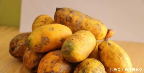 采摘|它现在的价值已不允许再折枝采摘,如果您的家乡也有,请及时重视!