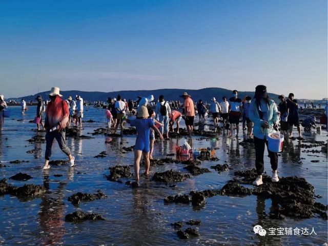 煎蛋|夏天营养流失快、没食欲,抓住这道菜!鲜上加鲜,嫩到夹不住