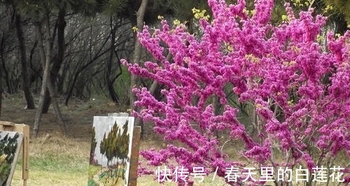 陈季常#4首怕老婆的诗词,风趣幽默,千年后让人会心一笑