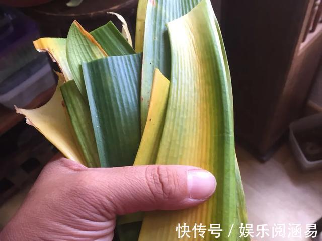 10种不能淋雨的花,淋完雨就死,盆栽养花注意事项