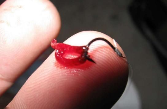 农村人钓鱼竟用这五种饵料,第一种城里人想不到!你用过几种?