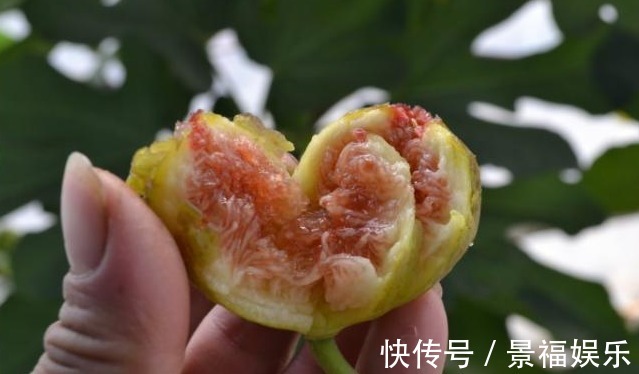 硒食物|癌症也有“杀手锏”,3种“硒食物”每天吃点,远离癌症更长寿