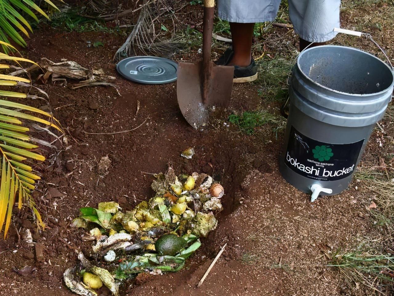 菜市场走一趟,0花费弄回半年的花肥,养花再也不用钱