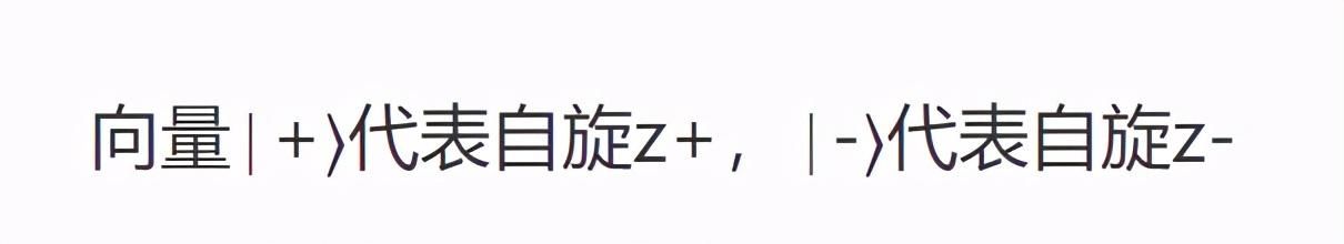 测量 量子力学的本质，测量和自旋的数学原理