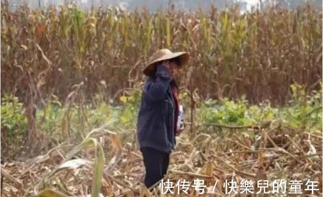 孩子|被忽视的13岁:有人从此跌落谷底,有人自此“开窍”成功逆袭