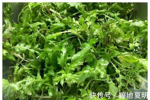荠菜|补钙别只知道牛奶和鸡蛋,这蔬菜是“补钙之王”,老人小孩要多吃