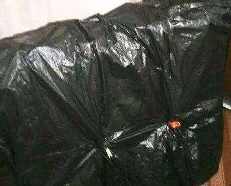 养君子兰不能“惯着来”,一个袋子套头上,花朵变成“大红球”