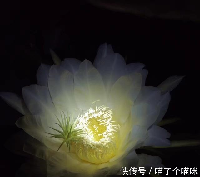 崔浩|学会赞美,一句良言,温暖三冬!