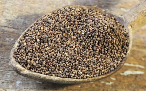 中老年|肾阴虚，肾阳虚，肾精虚，肾气虚到底该吃什么？