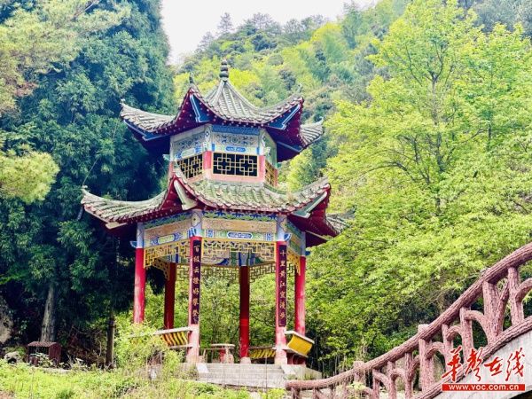 小唐策游潇湘之三：阳明山何止杜鹃红和万寿寺