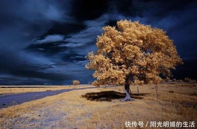 宋词|千古词帝最孤独的一首宋词,36个字皆是精美之语