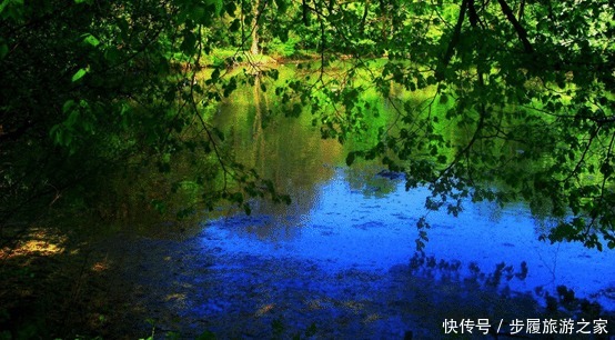 优良|《窗边的小豆豆》越早发现孩子的优良品质,越容易培养孩子