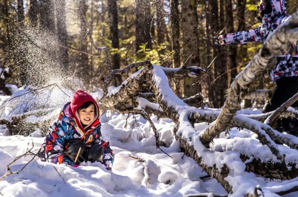 酒店|机票往返1K以内就能去东北滑雪！圣诞元旦报名即将截止...