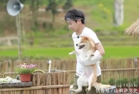 张子枫 《向往的生活》从第一季到第五季,真是越来越难看了!