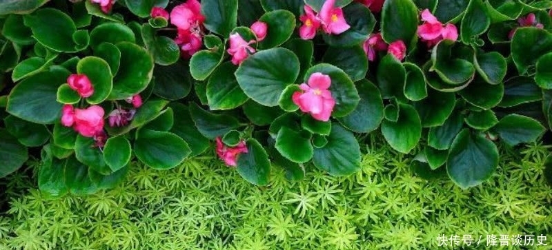 活得|袁枚最有哲理的一首诗,虽然我们很渺小,但也要活得比别人更精彩