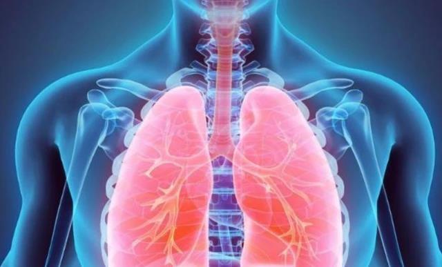 菠菜性甘凉|肺部有结节,能吃菠菜?医生:若想肺部功能稳定,常吃3种食物