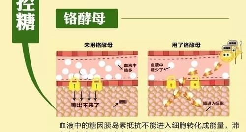 糖尿病人|糖尿病人要多吃菜，多吃是指多少4种蔬菜“降糖王”不能错过