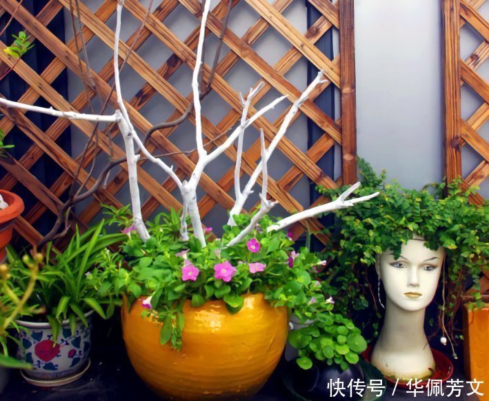 破烂|这些“花盆”真漂亮，创意十足还不花钱，“破烂”可别再扔了