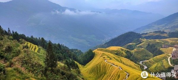 观景台|游·略 篇一：一场刚刚好的金色梯田之旅——龙脊梯田