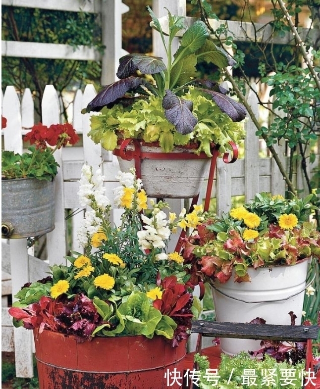 任何容器都能用来做花盆，请收好这30种美丽的花盆搭配设计