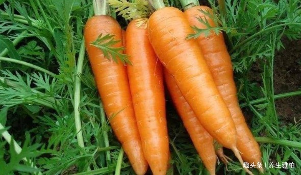 护肤品|聪明的女人,要多吃3种食物,子宫更光滑,皮肤更红润!