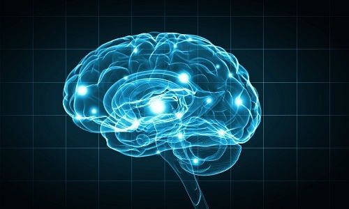 温度|科学家对马斯克提出尖锐质疑:脑机芯片会让大脑变成“烤红薯”?