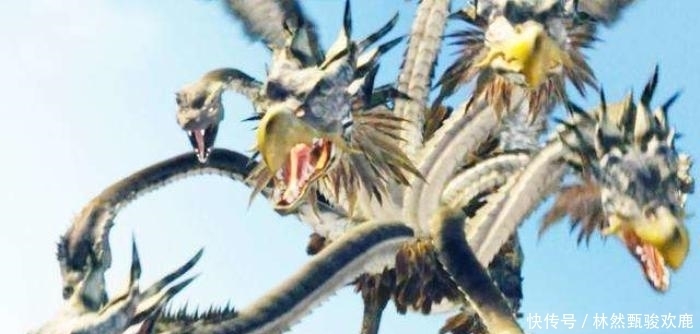 小白龙颜值完胜九头虫,公主为何喜欢后者?猪八戒一语道明原因