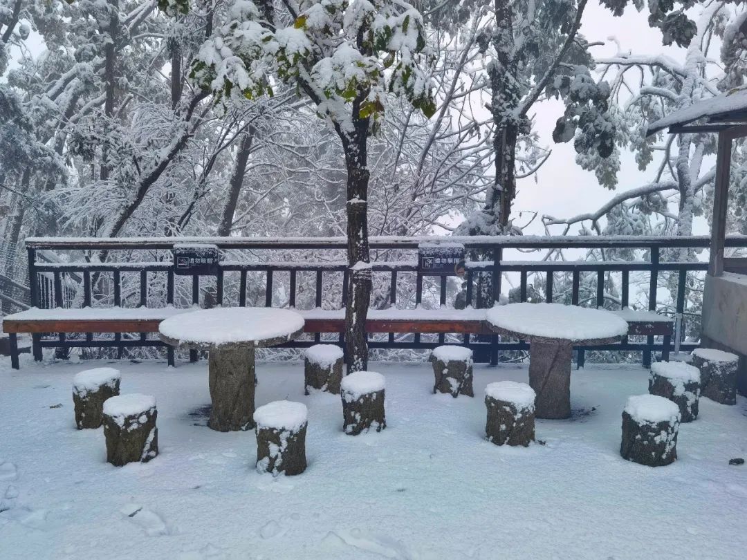 雪景|老界岭又下雪啦！这才是朋友圈最“冻人”的雪景！