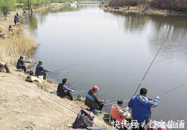 盘点钓鱼当中，让新手钓友比较头疼的问题