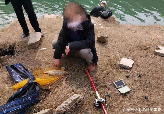 无灵魂的可视锚鱼这不是钓鱼,而是水下猎杀,被多地禁用