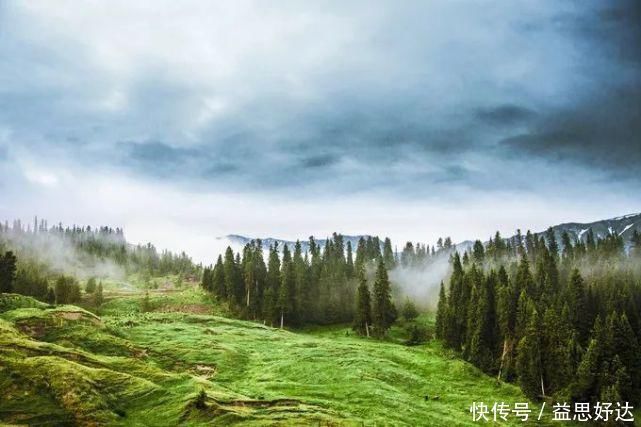 伊犁哈萨克自治州|新疆最美的草原，景色好看的一塌糊涂你去过几个