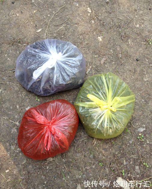 君子兰|3种“碎渣渣”,是养花的好材料,掺土里花儿蹭蹭长,开爆盆!