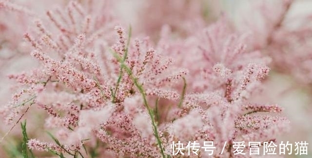 处女座|8月12号起迎来开门红，财运大幅度上涨，彩票中奖，钞票滚滚来！