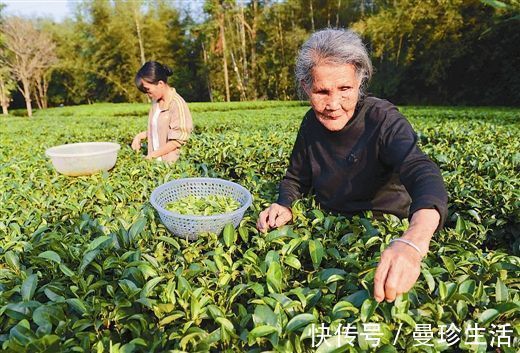 防癌抗癌|抗癌老人心得记住6个字,多吃3种菜,预防癌细胞,更长寿