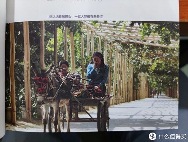 图书馆#图书馆猿の2021读书计划57:《我和我的新疆朋友》