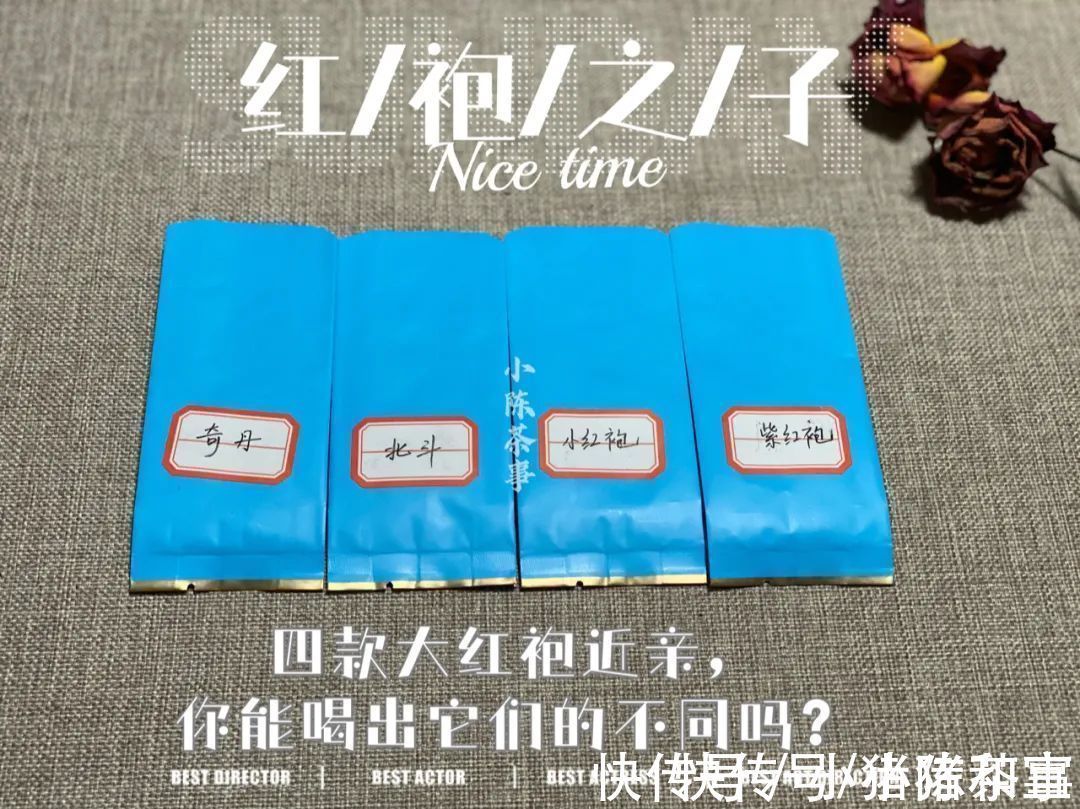 李麻花$四则茶圈秘辛,讲述大红袍后代们的跌宕故事,走进岩茶的历史变迁