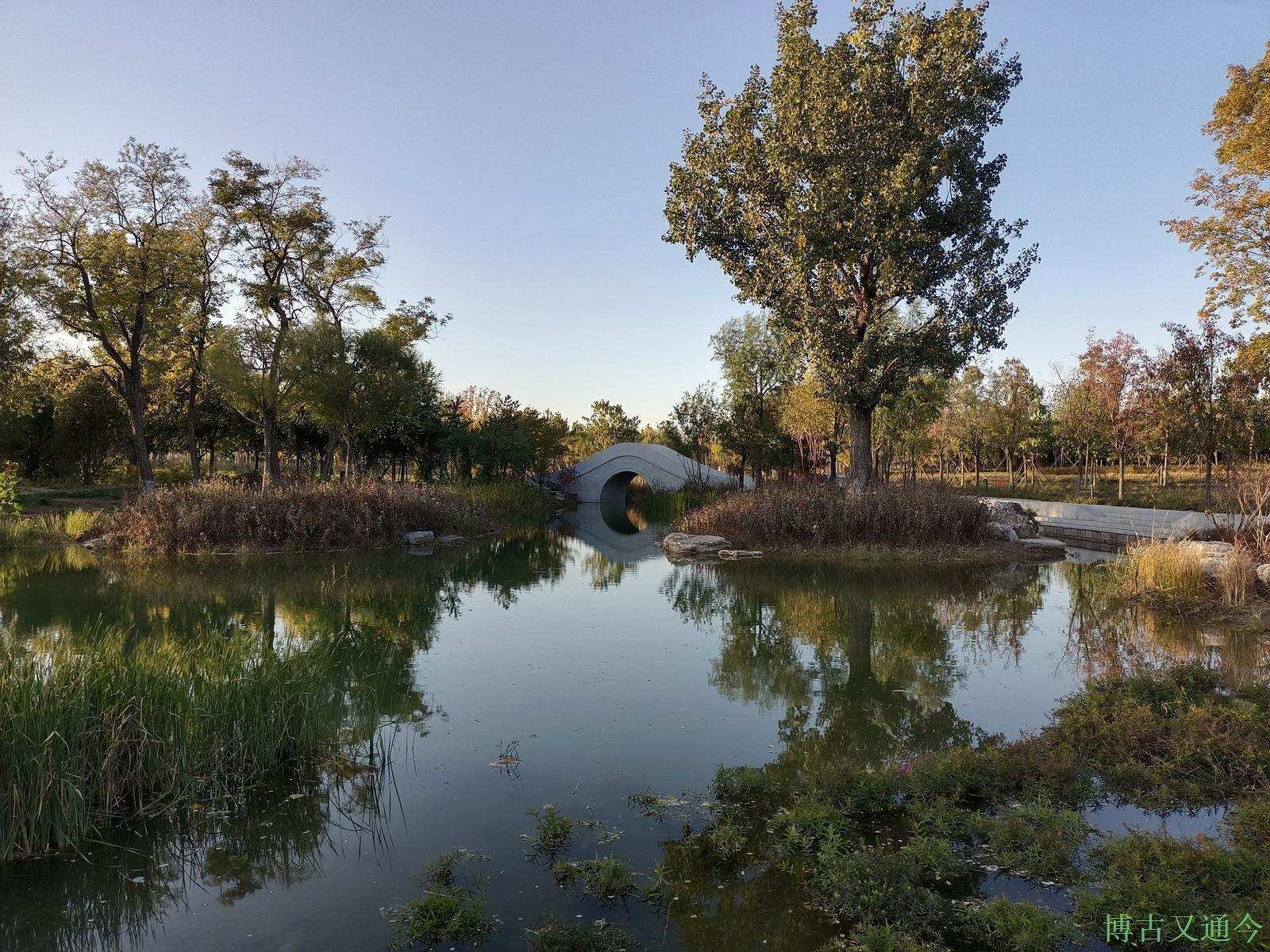 老年|温榆河公园示范区东园,园内的金色光芒撒在大地上