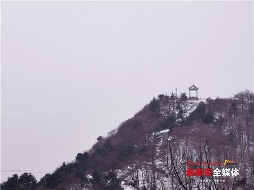 下雪|泰山又下雪啦！青山原不老，为雪而白头