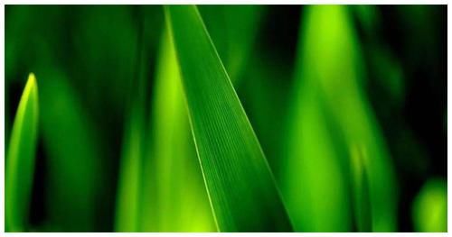 要求|你的内心恐惧越多，你对孩子的要求也便越多