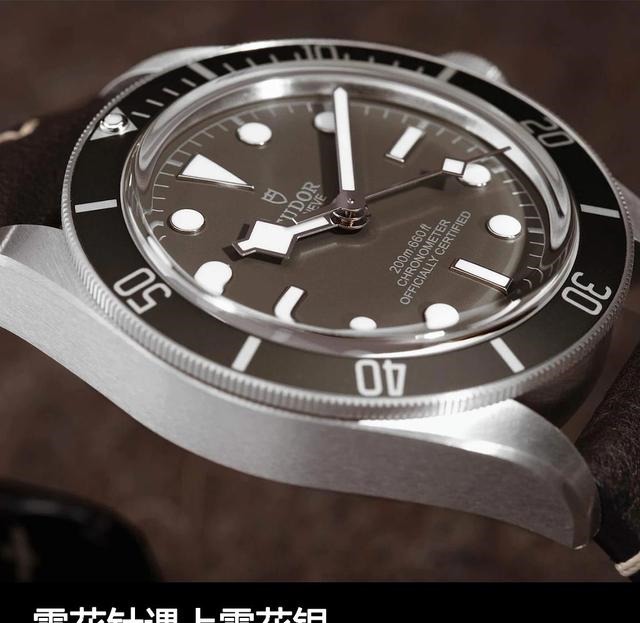 贵金属#雪花针遇上雪花银 品鉴帝舵碧湾1958型925腕表!