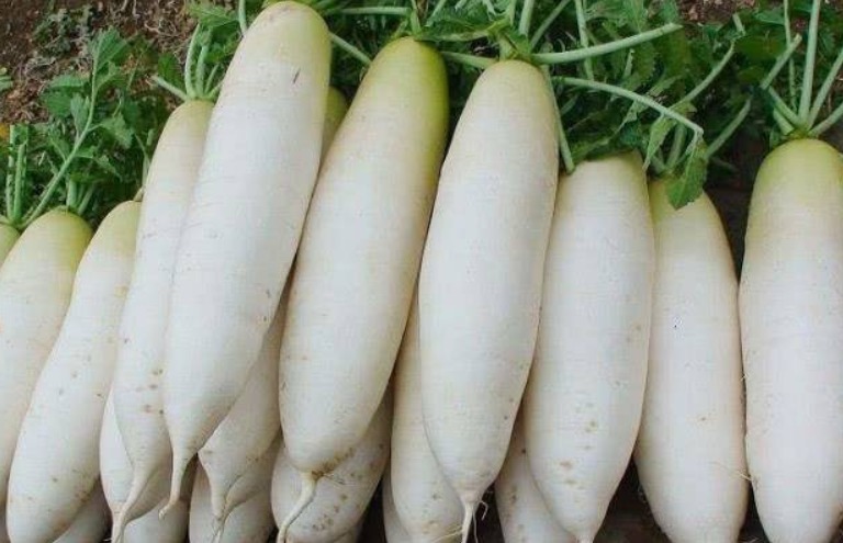 食物|女性到了中年,常吃四种食物,补血养颜,排毒抗衰,预防妇科病