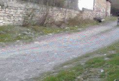 好当|搞笑GIF:白娘子不是那么好当的