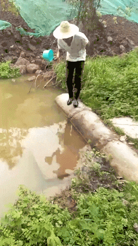 |搞笑GIF:生活不允许你在它面前嘚瑟