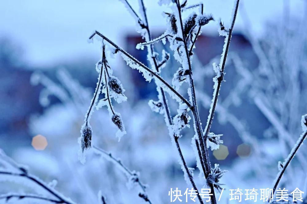 纳兰容若!这9首咏雪诗词,不带一个雪字,却写尽雪之美!叹为观止