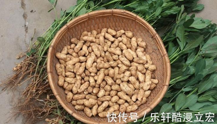 香浓|做水煮花生,不要只放食盐,多加4个料,花生更好吃,香浓入味