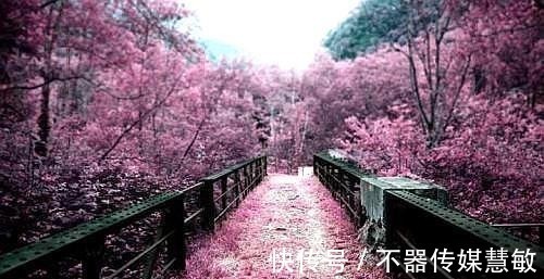 祖先|大家都知道唐刀是日本刀的祖先,但谁知道唐刀的祖先呢