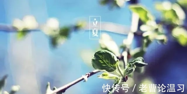 荷塘|临轩晓雨风杨柳，入画荷塘蝶恋花。立夏诗词二十首