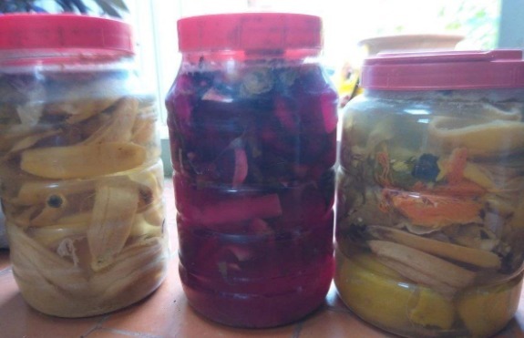 居家养花:掌握这2门小技巧,打理盆栽将变得简单许多