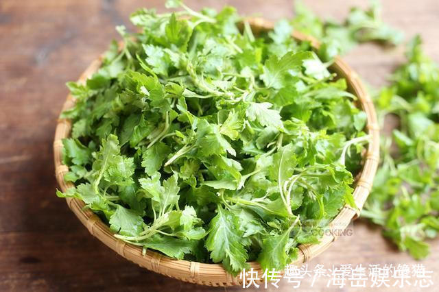 正当季|这菜是个宝,可惜很多人当草,包饺子比荠菜还鲜,现在吃正当季